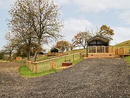 Oak Tree View