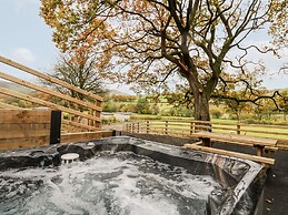 Oak Tree View