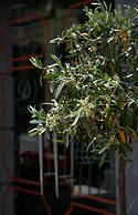 Dias Hotel & Spa