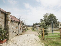Forest View Cottage