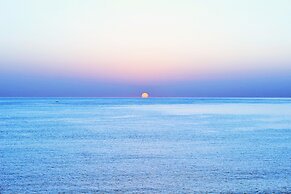 Tiwi Sunrise