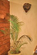 Blue Pepper Beds Sayulita - Hostel