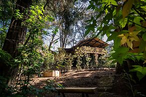Casa del Roble Avandaro