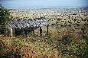 Cheetah Tented Camp