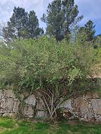 Quinta de Leandres