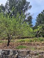 Quinta de Leandres