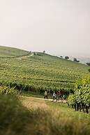Weinzuhause
