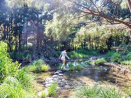 BIG4 Carnarvon Gorge Holiday Park