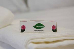 Rosa Therapy Hotel