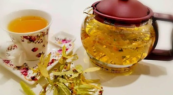Rosa Therapy Hotel