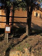Mimosa Village