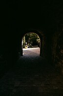 Burg Gutenfels