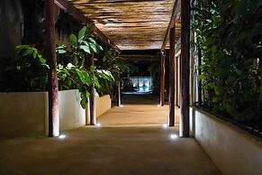 Blue Palm Bacalar