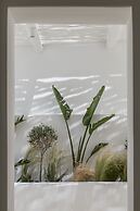 Arocaria