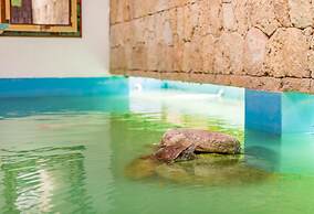 Fantastic villa at Casa de Campo