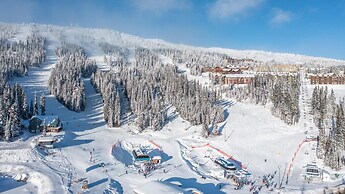 Mountain Time-spacious, Private Hot Tub,great View