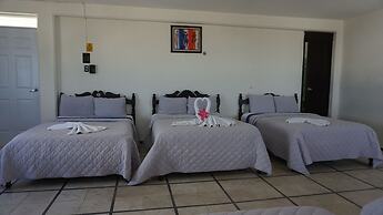 Hotel Murallas 231