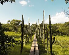 Hacienda San Antonio Millet