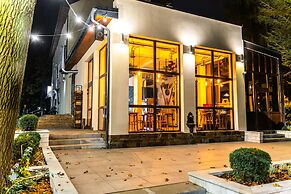 Hotel Montis