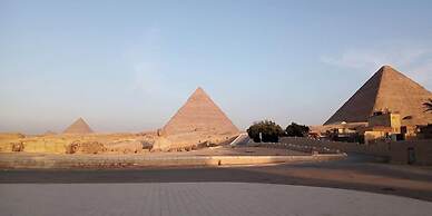 Sphinx Safari