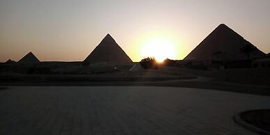 Sphinx Safari