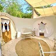 Rock and Sea Bubble Lodges
