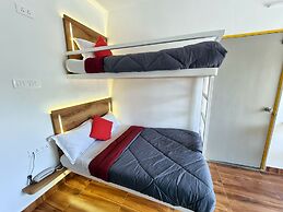 Stay inn nest