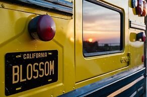 American School Bus - Blossom Farm