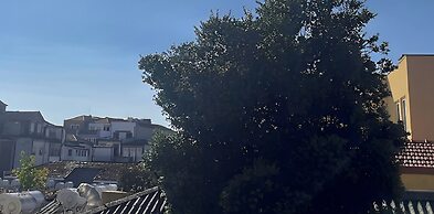 Oporto Invictus Hostel