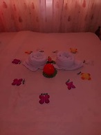 Broad Park Hotel