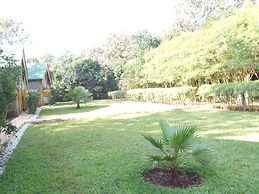 Eden Rock Resort