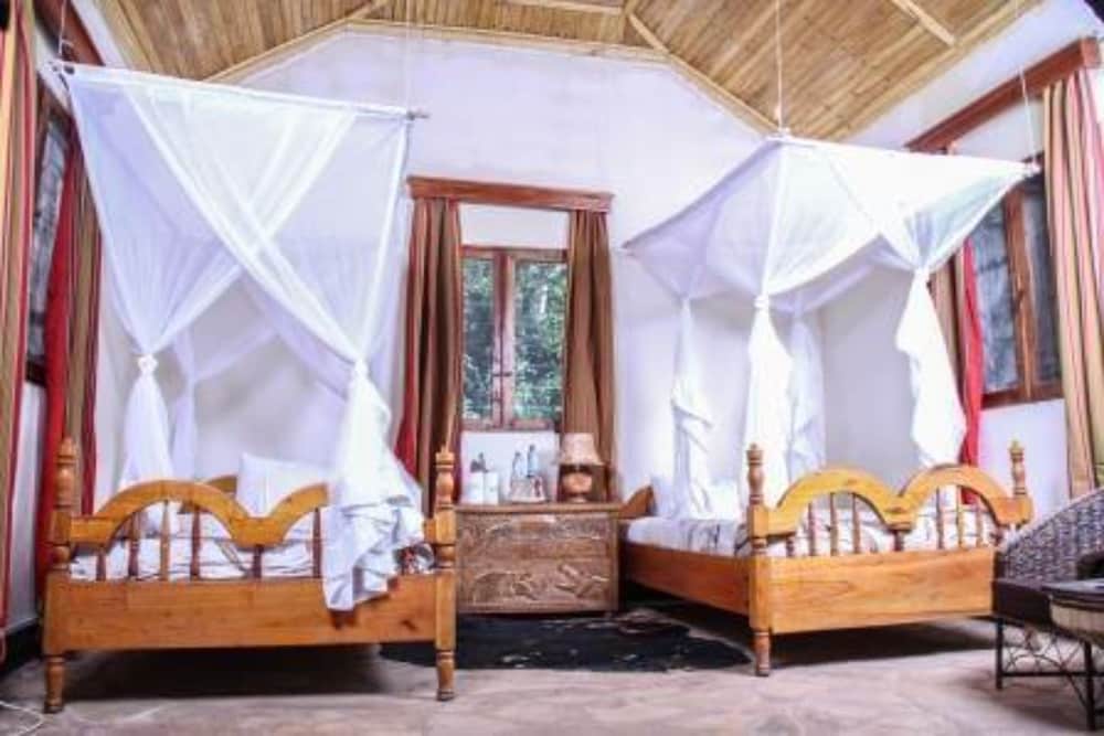 Primate Lodge