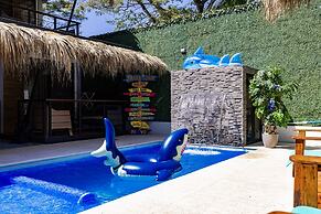 Shark Town Mal Pais