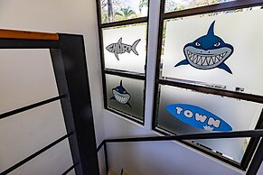 Shark Town Mal Pais