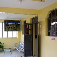 Leopard View Hotel