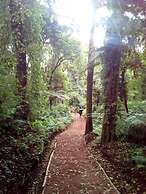 kilnopark hotel machame