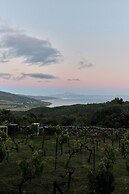 TAIGA Tarifa Punta Paloma
