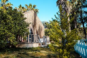 The Hill Glamping