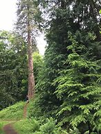 The Firs
