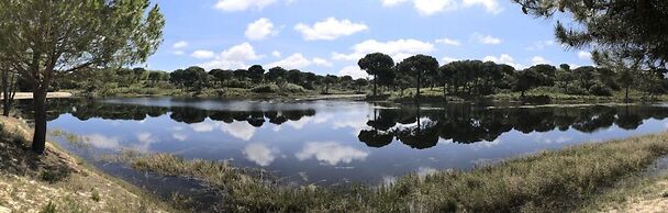 Herdade de Montalvo
