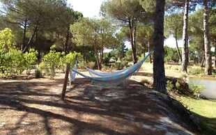 Herdade de Montalvo