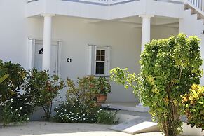 Tara Del Sol
