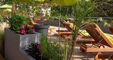 Villa Delfin SPA