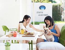 Shama Yen-Akat Bangkok