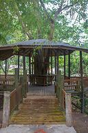 The Blue Mahoe Treehouse