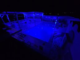 Nautilus