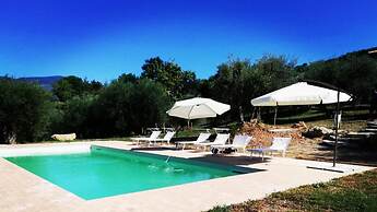 Amandula 6 in Castel del Piano