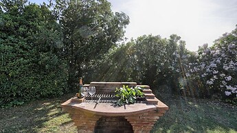 Virginia 8 in Gavorrano