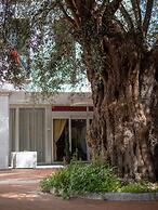 EGO' FERRARA RESIDENCE