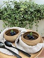 Ethos Vegan Suites